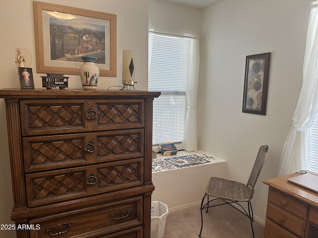 interior space featuring carpet floors