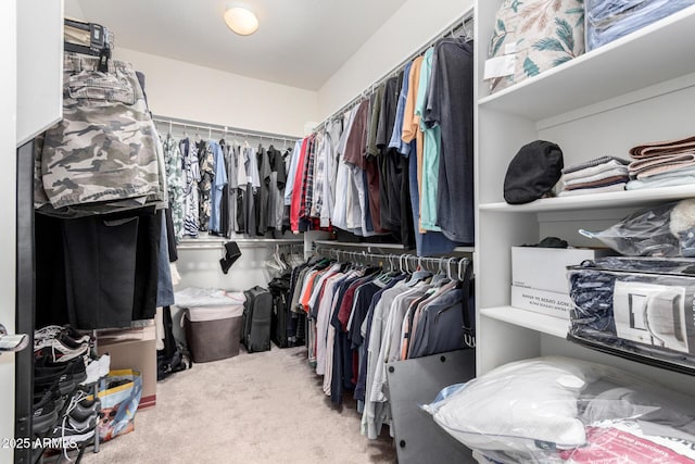 spacious closet with carpet floors