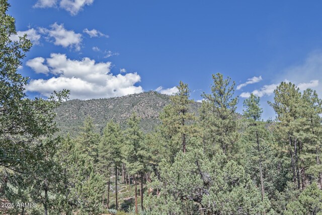 property view of mountains featuring a wooded view