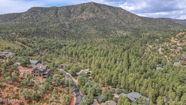 drone / aerial view featuring a mountain view and a view of trees