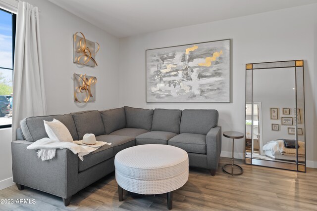 living room with wood-type flooring