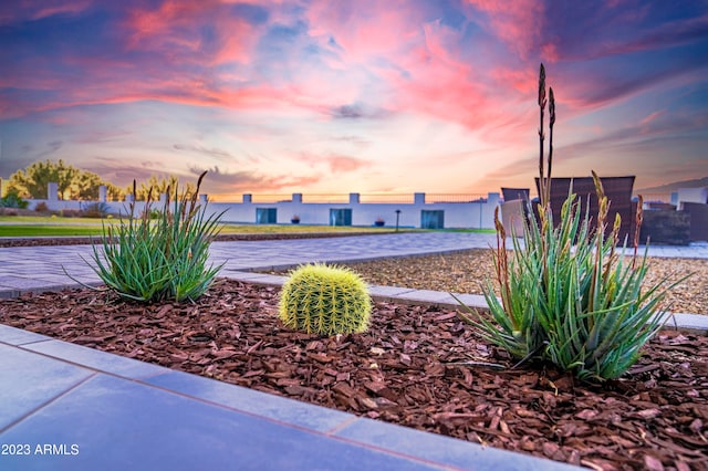 view of yard at dusk