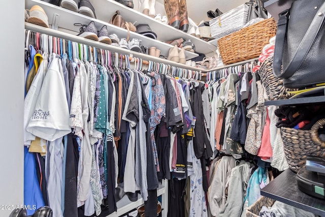 view of spacious closet