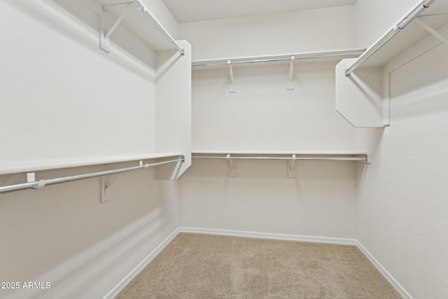 11142 E Ravenna Ave, Mesa, AZ 85212 - walk in closet featuring carpet