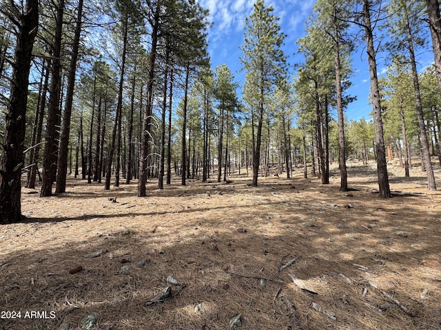 0 W Rte 66 -, Unit Flagstaff AZ, 86001 land for sale