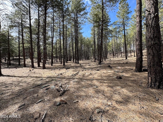 Listing photo 3 for 0 W Rte 66 -, Unit Flagstaff AZ 86001