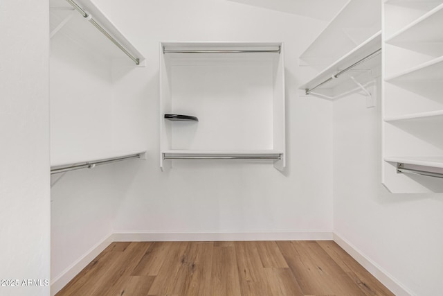 spacious closet with light wood-type flooring