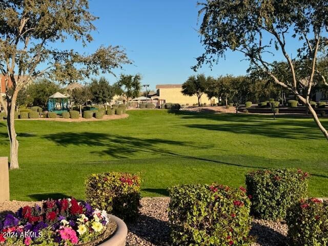 view of home's community with a lawn