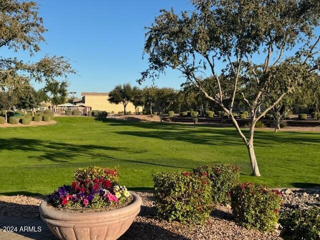 view of property's community featuring a yard