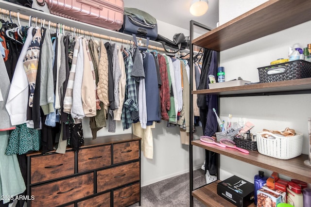 walk in closet featuring carpet floors