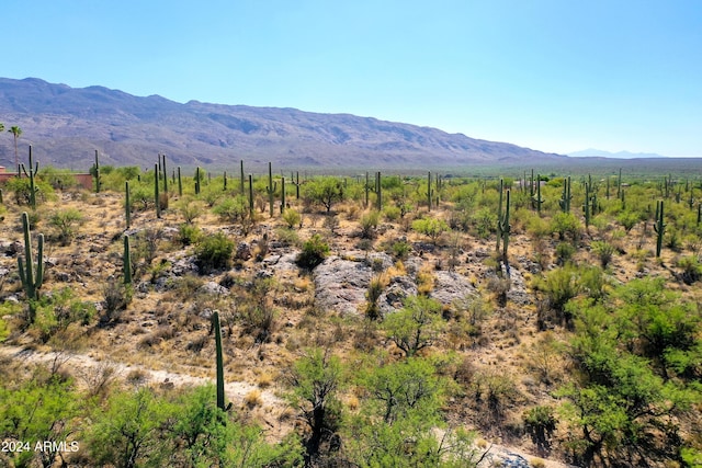 2510 N Avenida Sorgo N Unit 00097, Tucson, AZ 85749