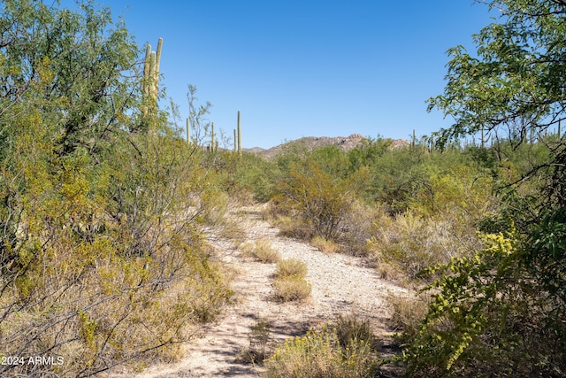 2510 N Avenida Sorgo N Unit 00097, Tucson, AZ 85749