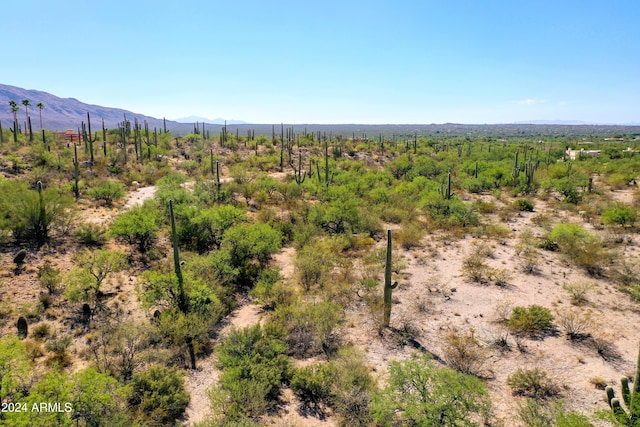 2510 N Avenida Sorgo N Unit 00097, Tucson, AZ 85749