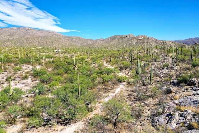 2510 N Avenida Sorgo N Unit 00097, Tucson, AZ 85749