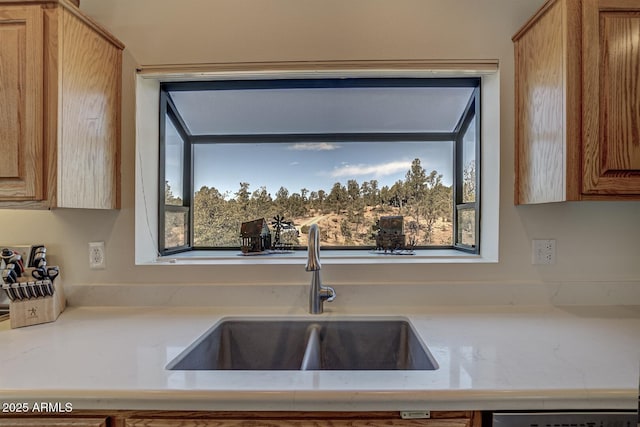 kitchen with dishwasher and a sink