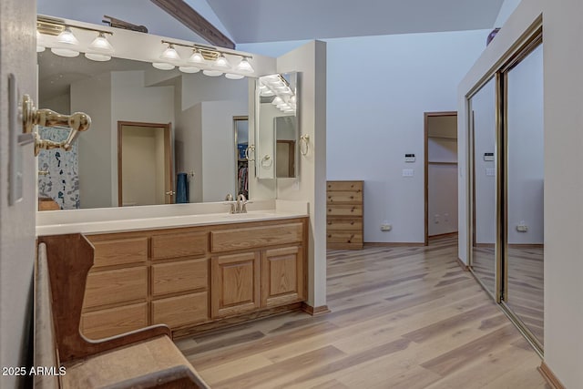 bathroom featuring wood finished floors and vanity