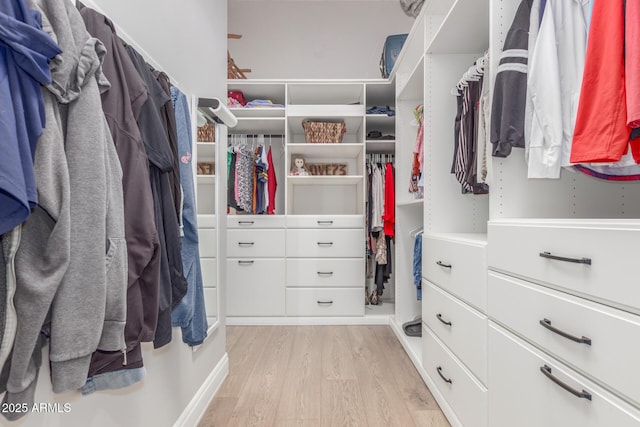 8725 E Menlo Cir, Mesa, AZ 85207 - spacious closet featuring light wood-style flooring