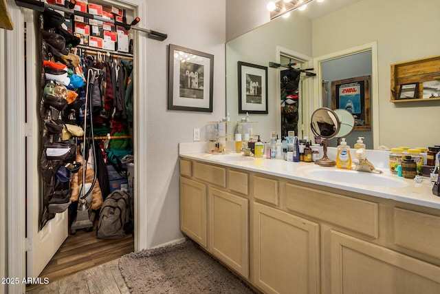 bathroom featuring hardwood / wood-style floors and vanity