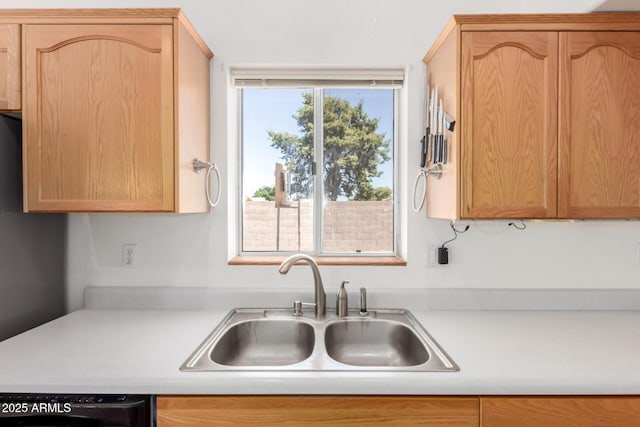 2356 N Glenview, Mesa, AZ 85213 - kitchen featuring dishwasher, a sink, and light countertops