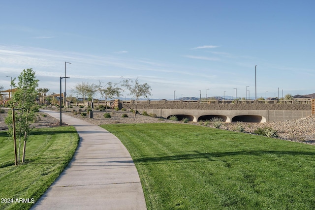 24066 N 162nd Ln, Surprise, AZ 85387 - view of community with a lawn