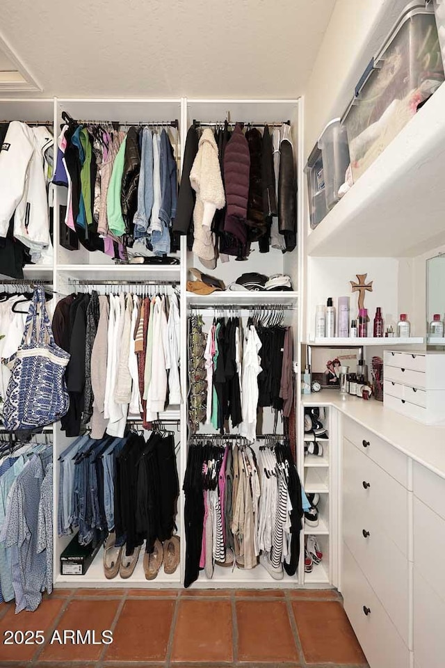 2041 W Hemlock Way, Chandler, AZ 85248 - view of walk in closet