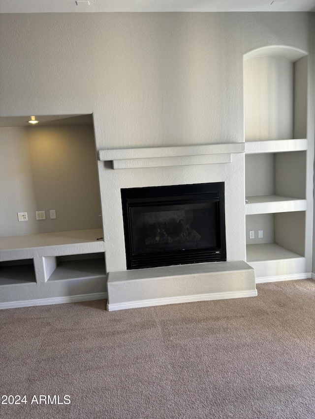 details featuring carpet flooring and built in shelves