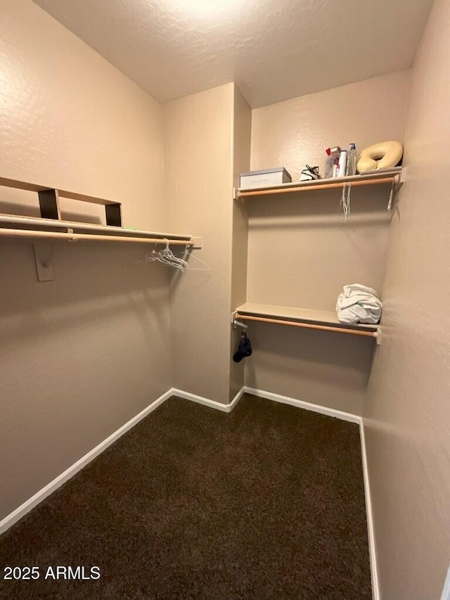 spacious closet with carpet flooring