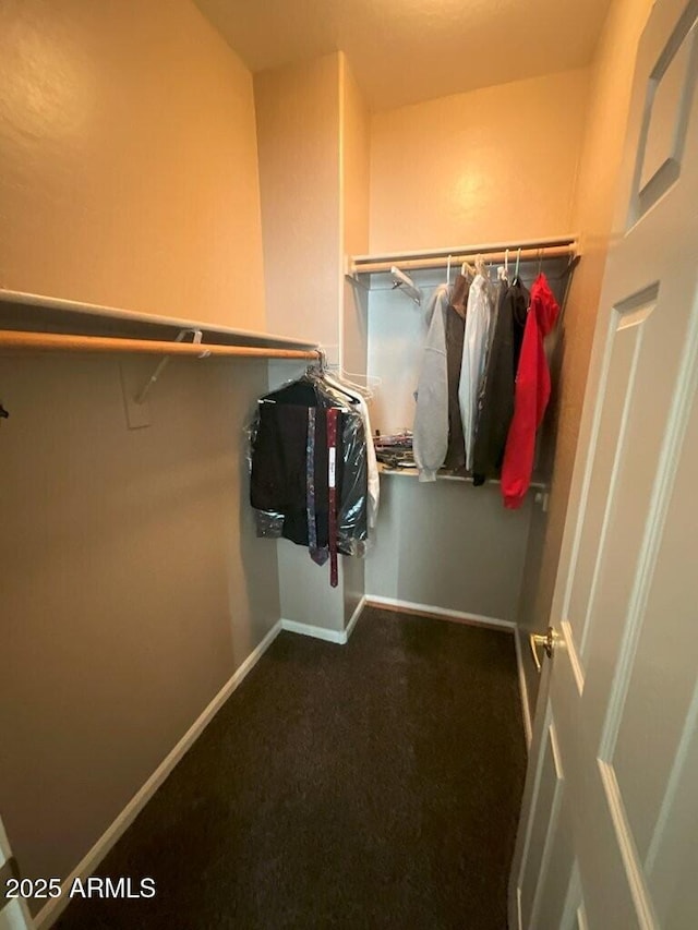 spacious closet featuring carpet flooring