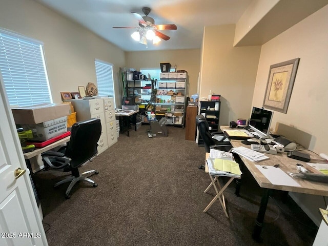 carpeted office featuring ceiling fan