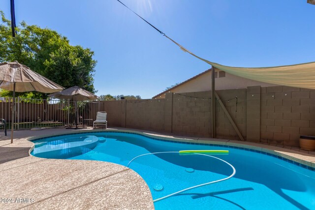 view of swimming pool with a patio area