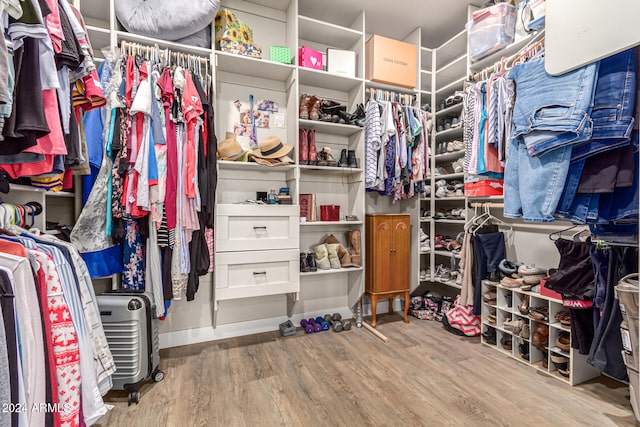 spacious closet featuring light hardwood / wood-style flooring