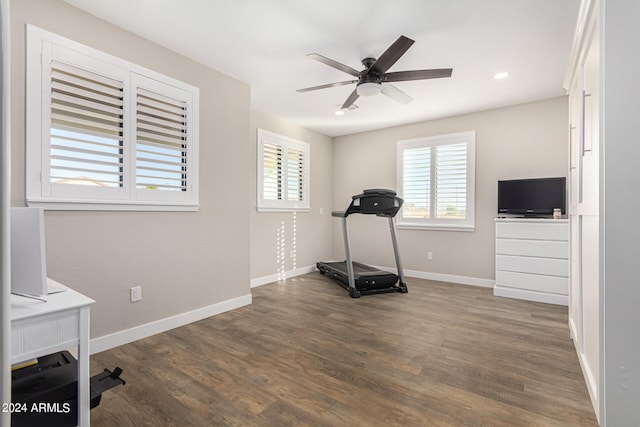 workout room featuring ceiling fan and dark hardwood / wood-style flooring