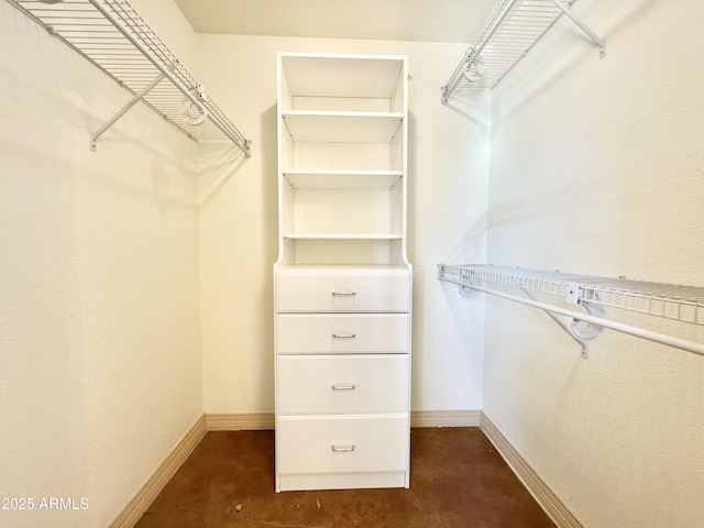 view of spacious closet