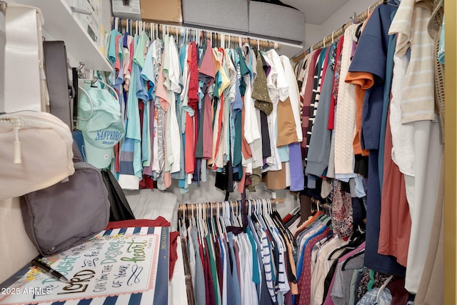 2333 E Southern Ave Unit 2016, Tempe, AZ 85282 - view of walk in closet