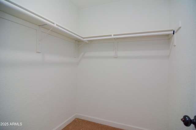 walk in closet with light colored carpet