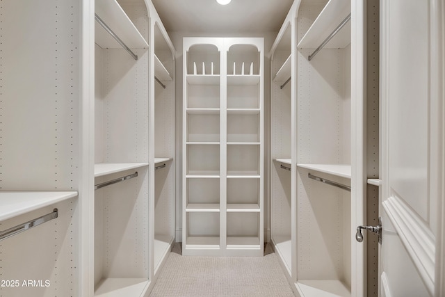 view of spacious closet