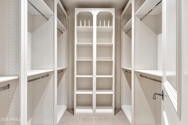 view of spacious closet