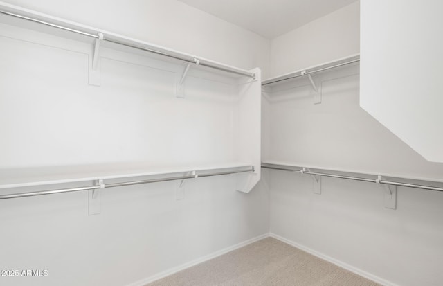 21292 N 270th Dr, Buckeye, AZ 85396 - spacious closet with carpet flooring