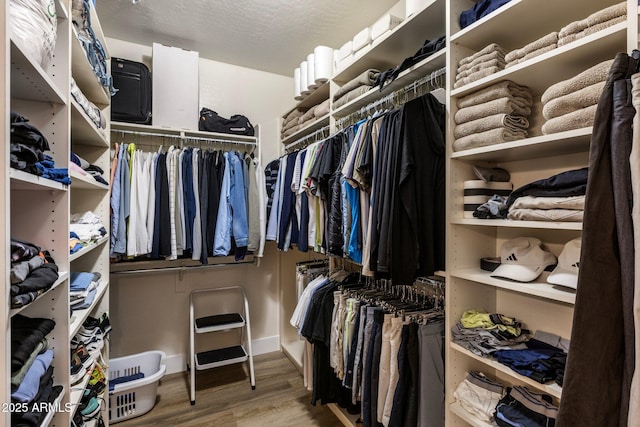 spacious closet featuring hardwood / wood-style flooring