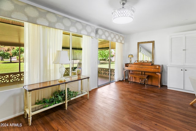 miscellaneous room featuring dark hardwood / wood-style flooring