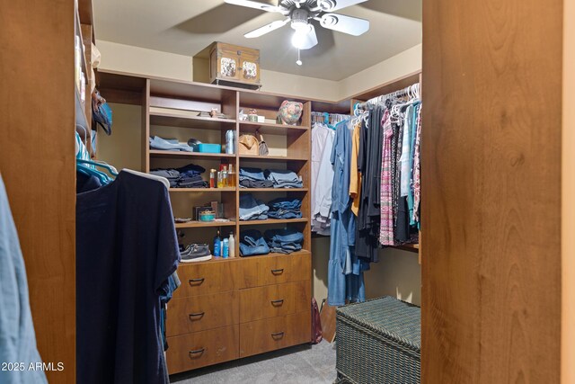 21230 S 156th St, Gilbert, AZ 85298 - spacious closet with light carpet and ceiling fan