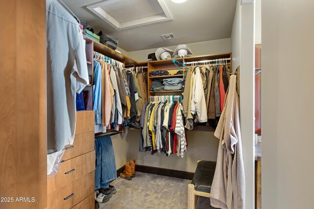21230 S 156th St, Gilbert, AZ 85298 - spacious closet with attic access and carpet floors