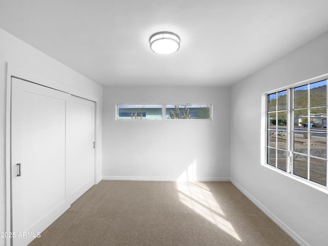 interior space with multiple windows, carpet floors, and a closet