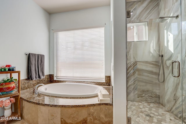 3660 S Golden Eye Ln, Gold Canyon, AZ 85118 - full bathroom featuring a bath, a stall shower, and plenty of natural light