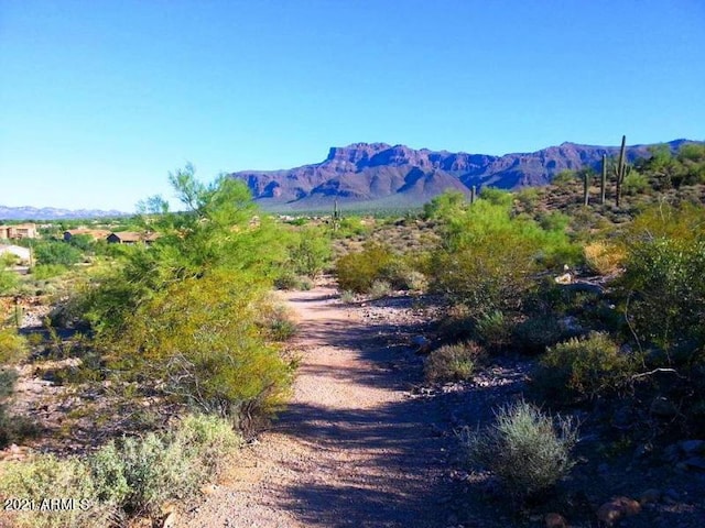 3660 S Golden Eye Ln, Gold Canyon, AZ 85118 - mountain view