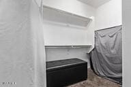 2614 S 120th Ave, Avondale, AZ 85323 - view of spacious closet