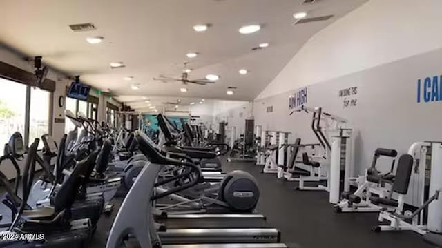 workout area featuring vaulted ceiling