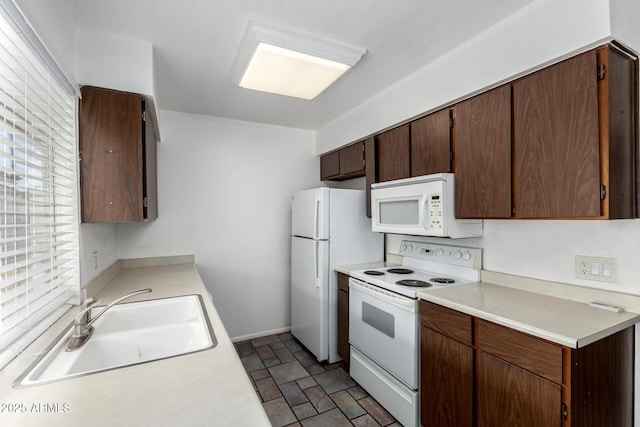 kitchen with dark brown cabinets, white appliances, and sink