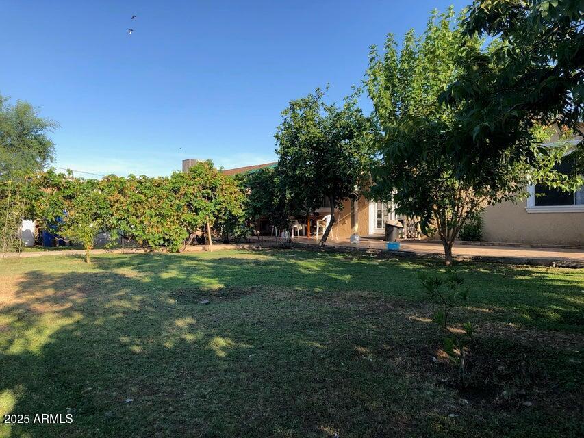 3116 W Dailey St, Phoenix, AZ 85053 - view of grassy yard