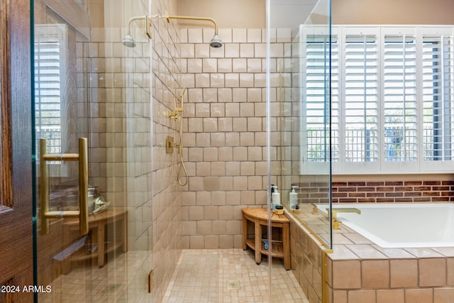 bathroom featuring plus walk in shower and a healthy amount of sunlight